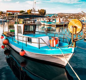 Category: Fishing traditions and seafood cuisine