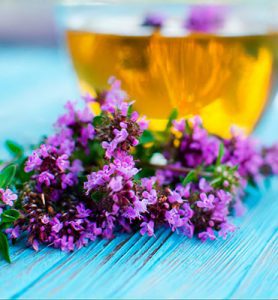 Category: Medicinal and aromatic plants