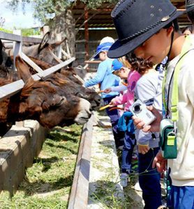 Category: Local traditions and community life