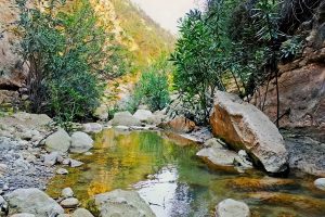 Marathi Cave Paphos Limestone Cave Minerals