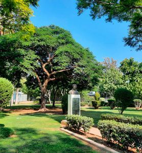 Category: Parks and playgrounds