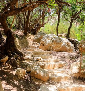 Category: Protected areas and national parks