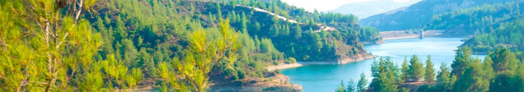 Category: Mountains, forests, and valleys