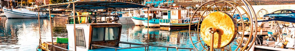 Category: Local Cuisine and Seafood