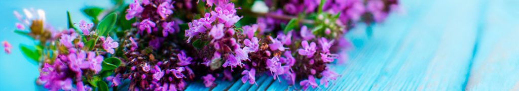 Category: Medicinal and Aromatic Plants