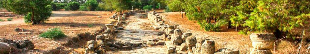 Category: 5. Roman period