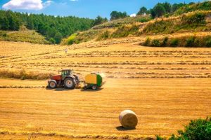 Agricultural Landscapes as Modified Ecosystems