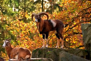 Akamas Peninsula Cliffs and Headlands Cyprus