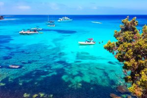 Akamas Peninsula National Park Nature Guide, Cyprus