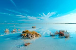 Akrotiri Peninsula – Protected Wetlands & Wildlife