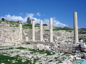 Amathus Sacred Grove of Aphrodite Cyprus