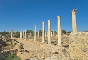 Salamis Bathhouse Mosaics