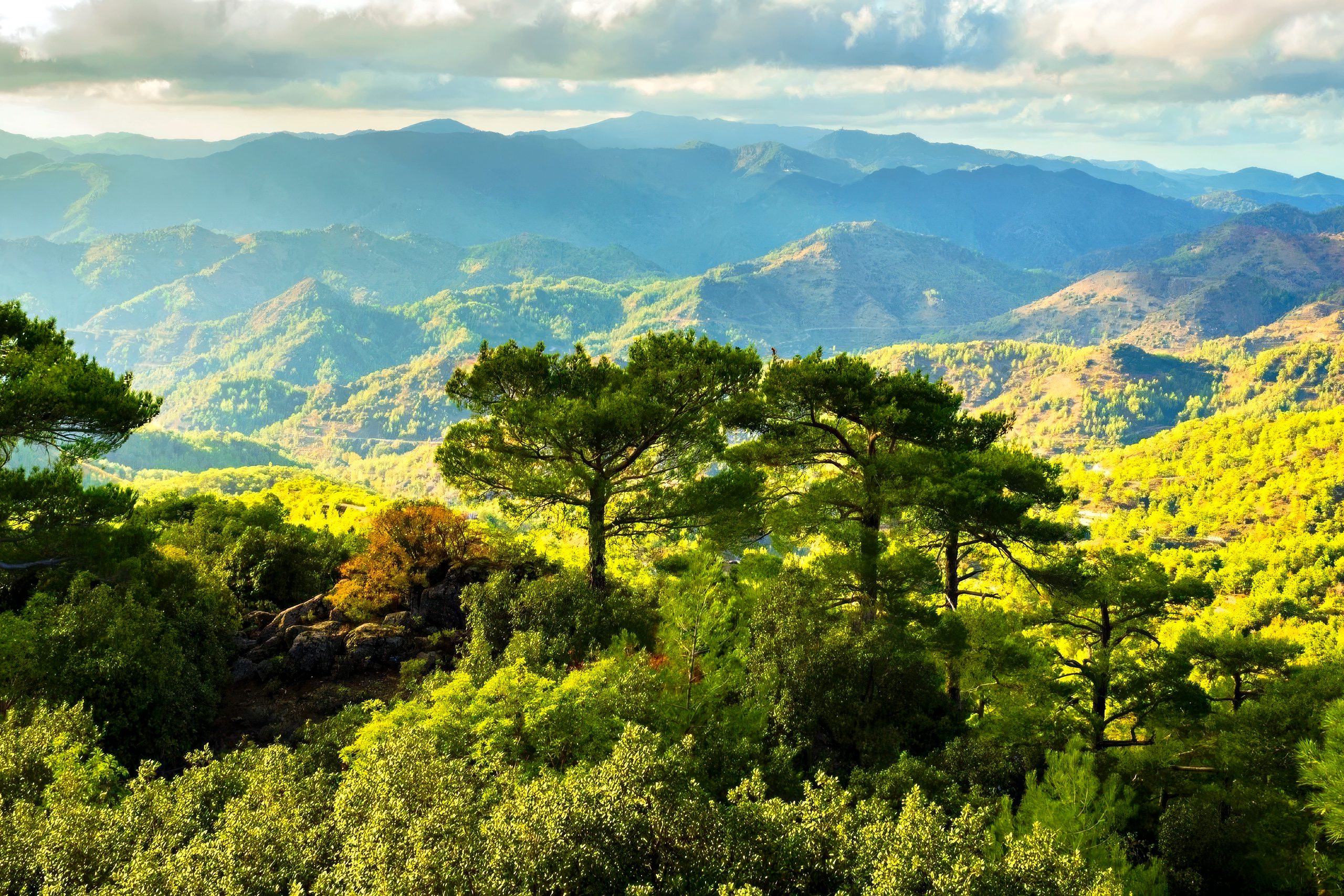 Ancient Terraces and Orchards in Cyprus Mountains