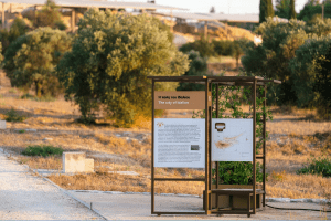 Ancient Idalion Dali – City-Kingdom & Idalion Tablet