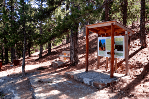 Artemis Trail (Troodos) – Cyprus, Europe