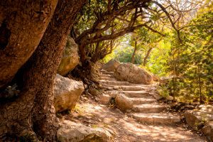 Avakas Gorge Cave Systems – Karst Caves of Akamas