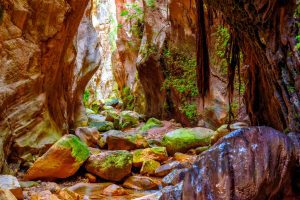 Avakas Gorge Trail Cyprus Canyon Hike