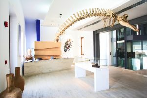 Ayia Napa Thalassa Museum