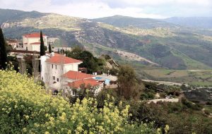 Bread Village Baking Traditions