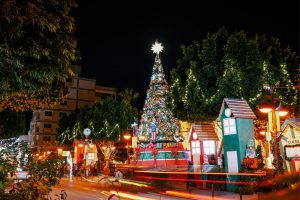 Christmas And New Year Traditions