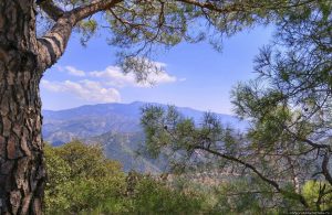 Church of Panagia Phorbiotissa