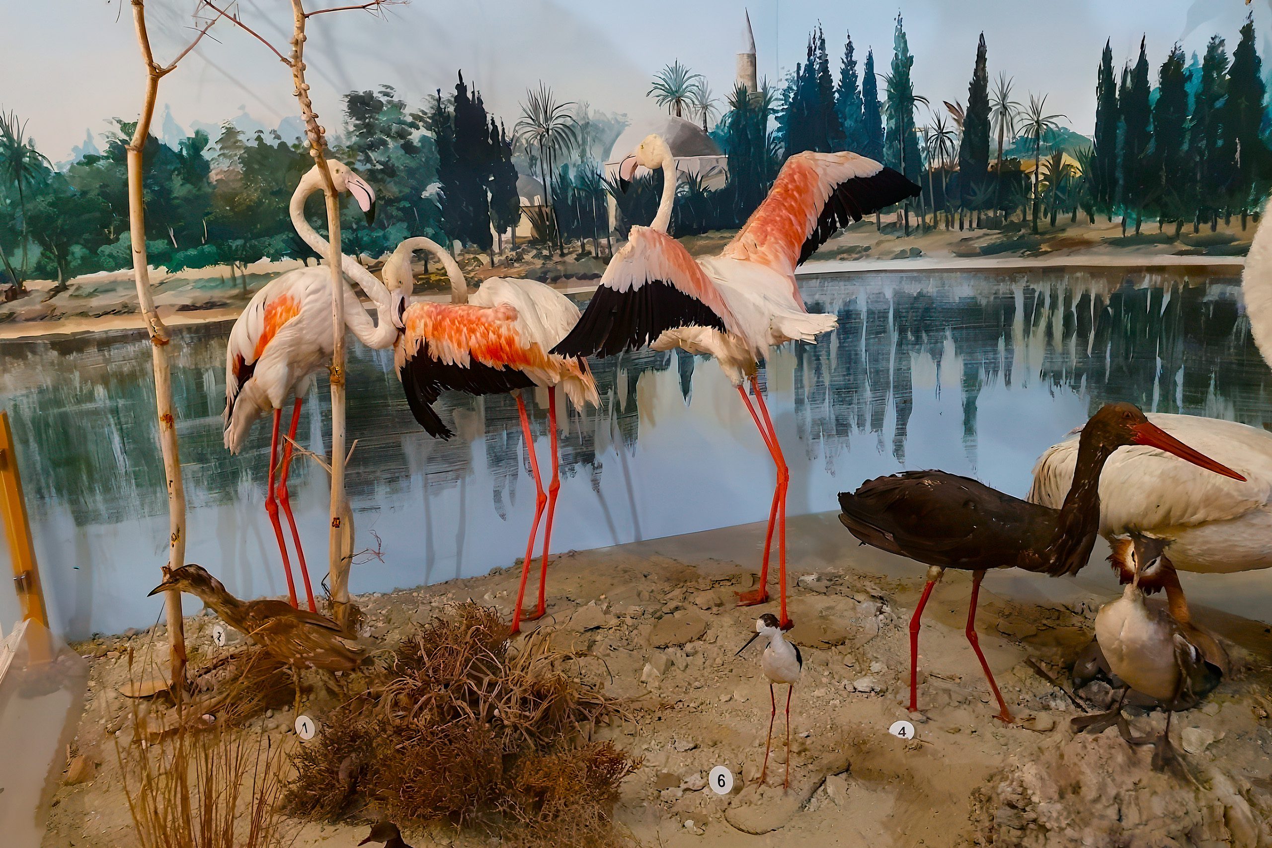 Cyprus Museum of Natural History (Nicosia)