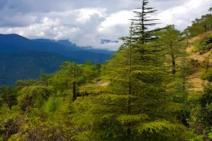 Cyprus Valleys Summer Guide