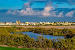 Freshwater Wetlands and Ponds Cyprus