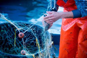 Artisanal and Industrial Fishing Cyprus