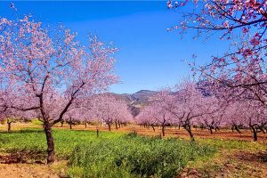 How Climate Influences Outdoor Lifestyles