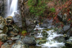 Kaledonia Waterfall Trail