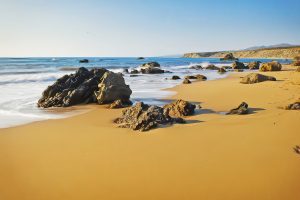 Lara Beach, Cyprus – Turtle Nesting & Wild Coast