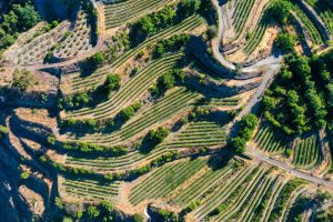 Pelendri Cyprus Historic Village Vineyards Churches