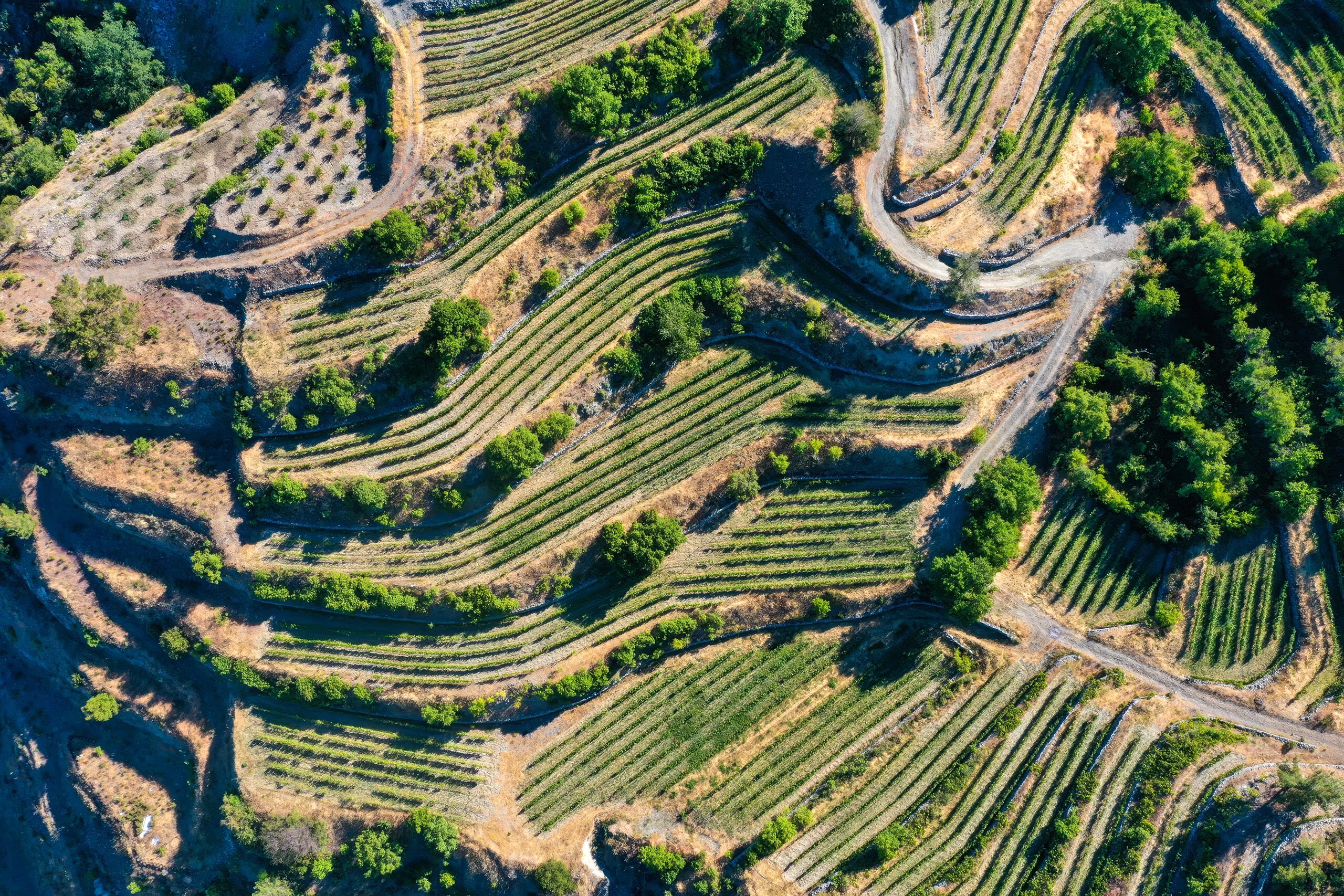 Pelendri Cyprus Historic Village Vineyards Churches