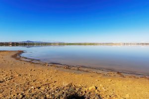 Salt Flats Coastal Wetlands Cyprus