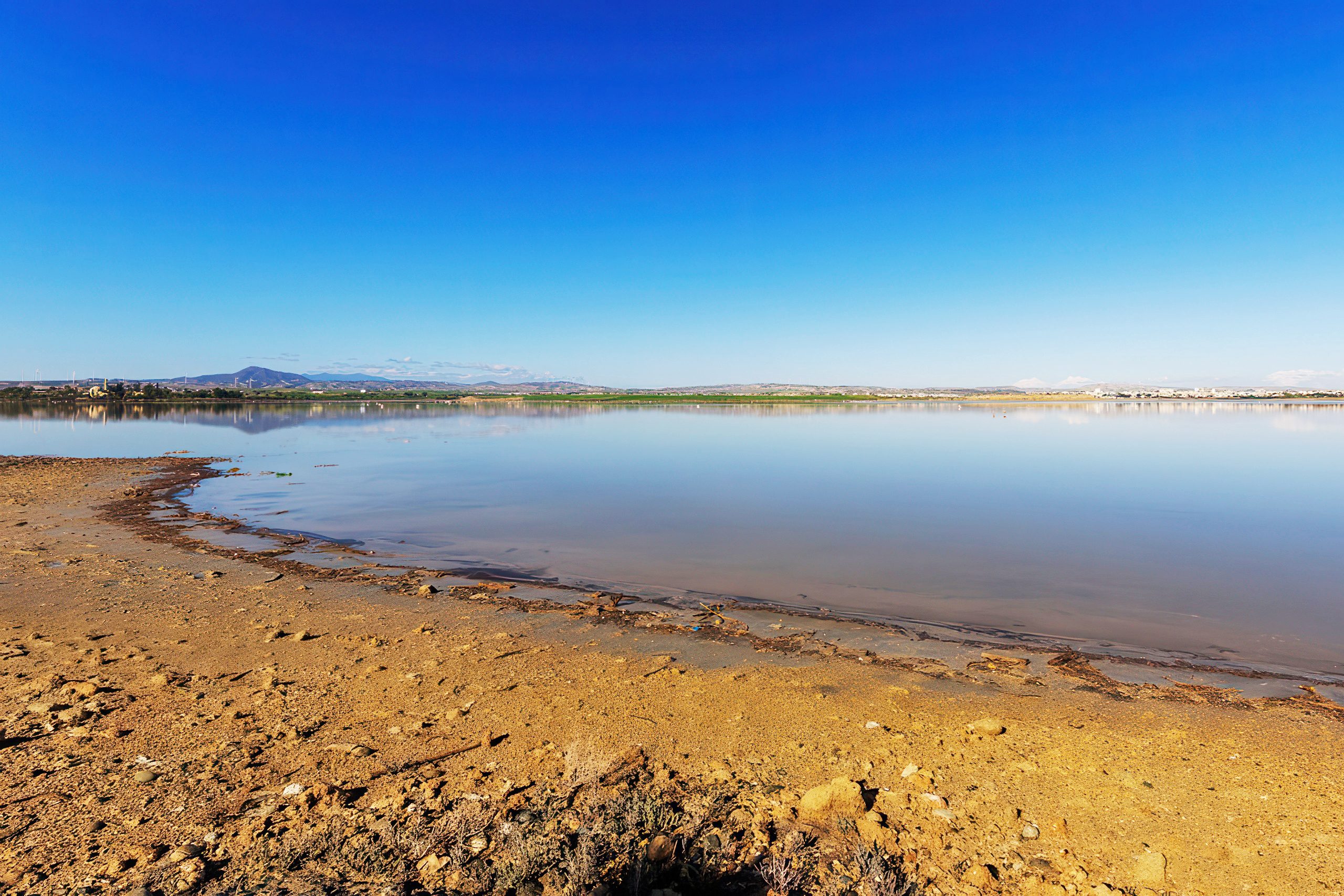 Salt Flats Coastal Wetlands Cyprus