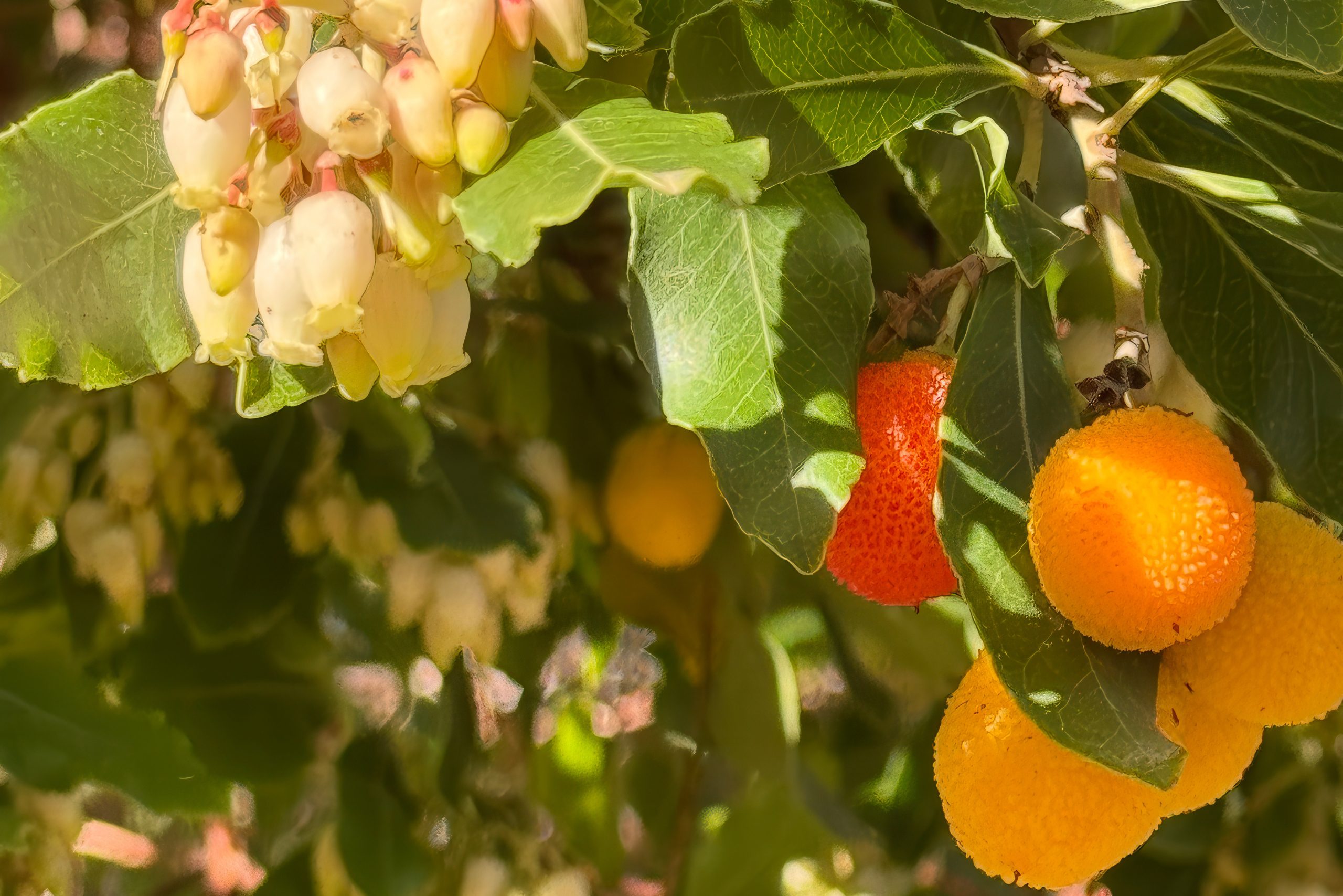 The Peeling Cinnamon Guardians of Cyprus Slopes