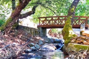 Troodos Mineral Springs