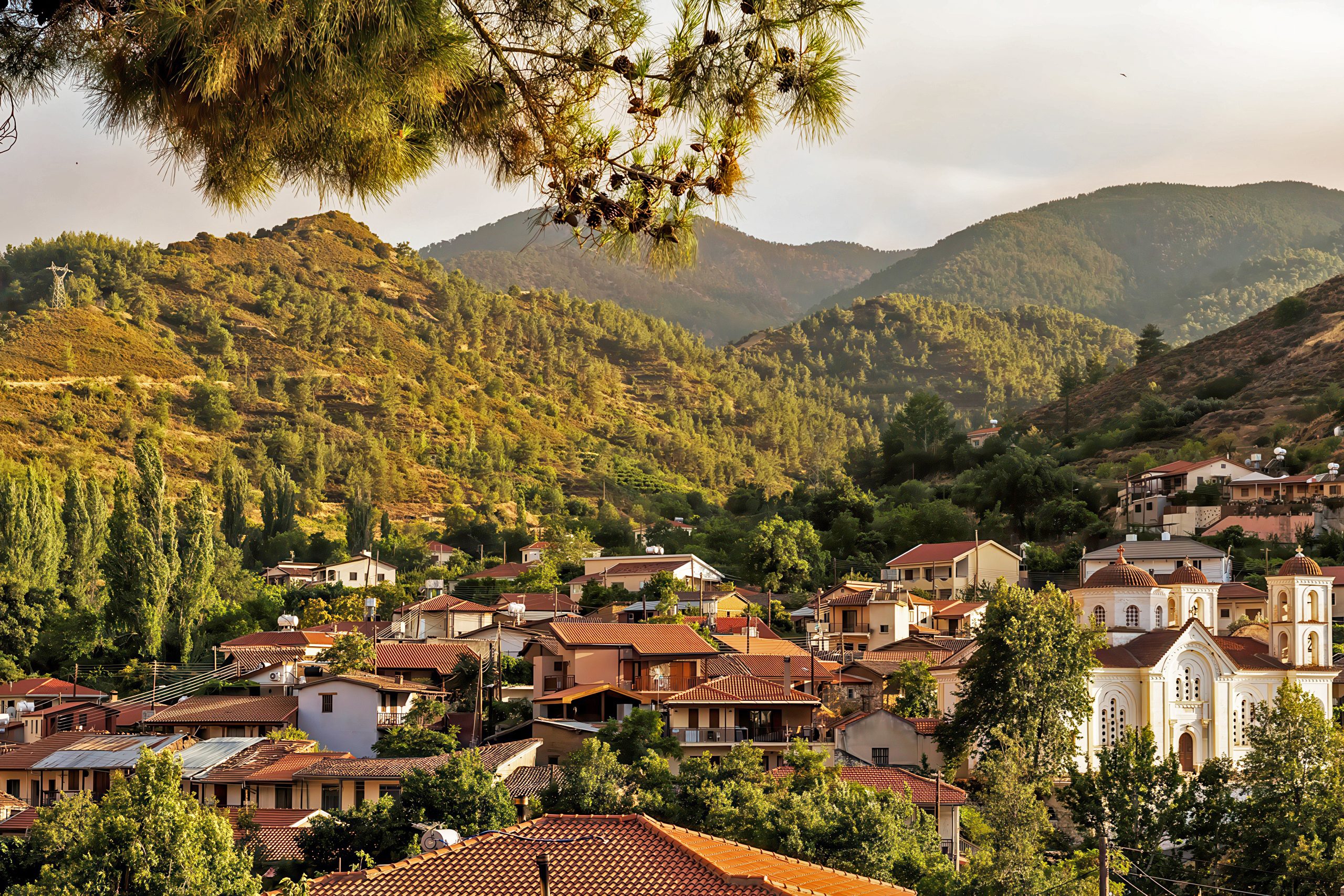 Troodos Mountains Biodiversity and Climate Core