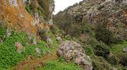 Adonis Nature Trail