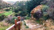 Choirokoitia Nature Trail