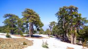 Chrysovrysi Trail