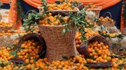 Cyprus Harvest Fairs And Seasonal Community Life