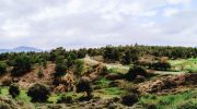 Delikipo Nature Trail
