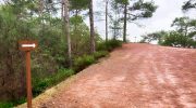 Gefyria Natural Trail