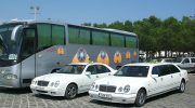How Taxis Complement Public Transport in Cyprus