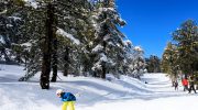 Skiing in Cyprus