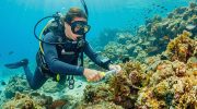 Cyprus Sustainable Diving and Sea Life Conservation