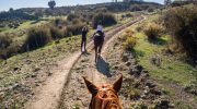 Cyprus Horseback Riding Tour Guide