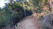 Loumata ton Aeton Nature Trail